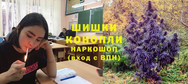 spice Медвежьегорск