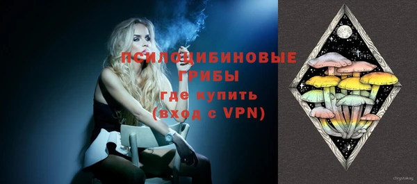 гашик Медногорск