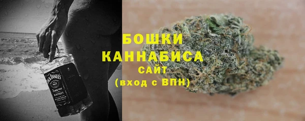 гашик Медногорск