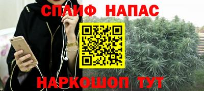 гашик Абакан