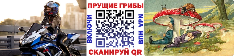 Псилоцибиновые грибы Psilocybine cubensis  Нарьян-Мар 