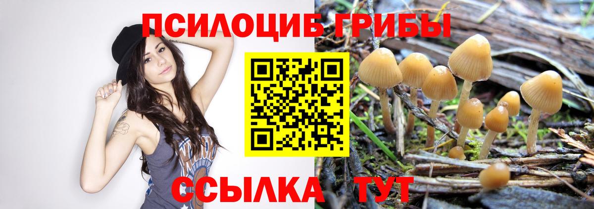 цена   Галлюциногенные грибы Cubensis  Вход с VPN  Нарьян-Мар 